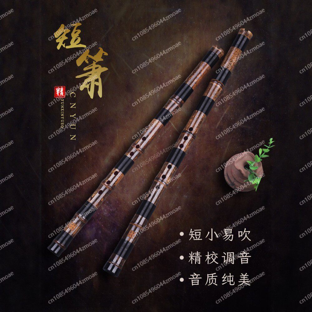 Flauta profesional de bambú de - Musical Instrument Blow reseña y precio