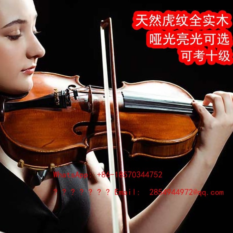 Violín Profesional de Grado Mu - Musical Instrument Net reseña y precio