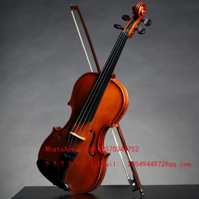 Violín Profesional de Grado Mu - Musical Instrument Net reseña y precio
