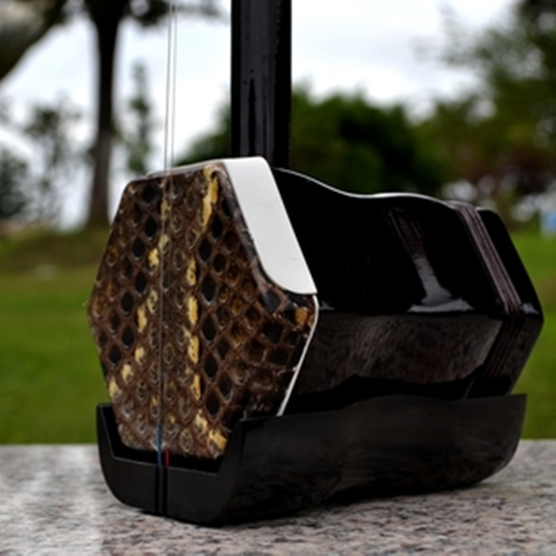 Erhu 01A1, violín chino de dos - Erhu Violin Chinese reseña y precio