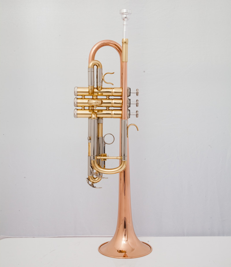 Instrumentos musicales profesi - Musical Instrument Fagot reseña y precio