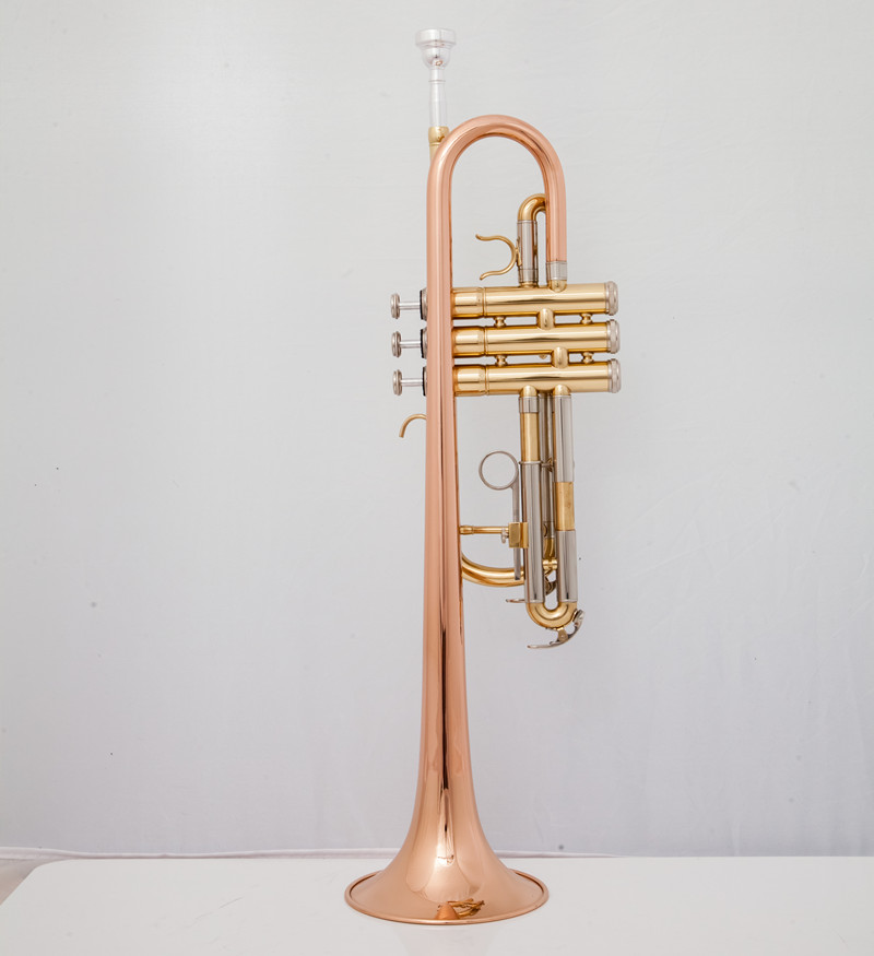 Instrumentos musicales profesi - Musical Instrument Fagot reseña y precio