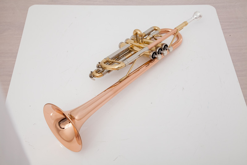Instrumentos musicales profesi - Musical Instrument Fagot reseña y precio