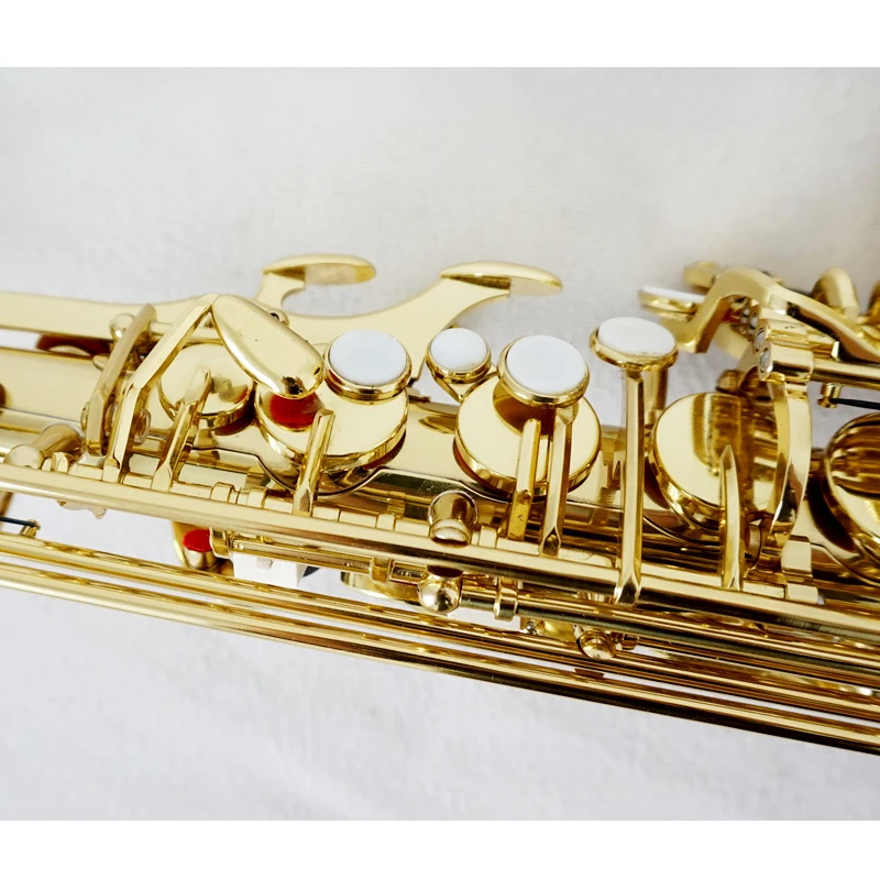 Saxofón Alto Profesional de Co - Musical Instrument Logo reseña y precio